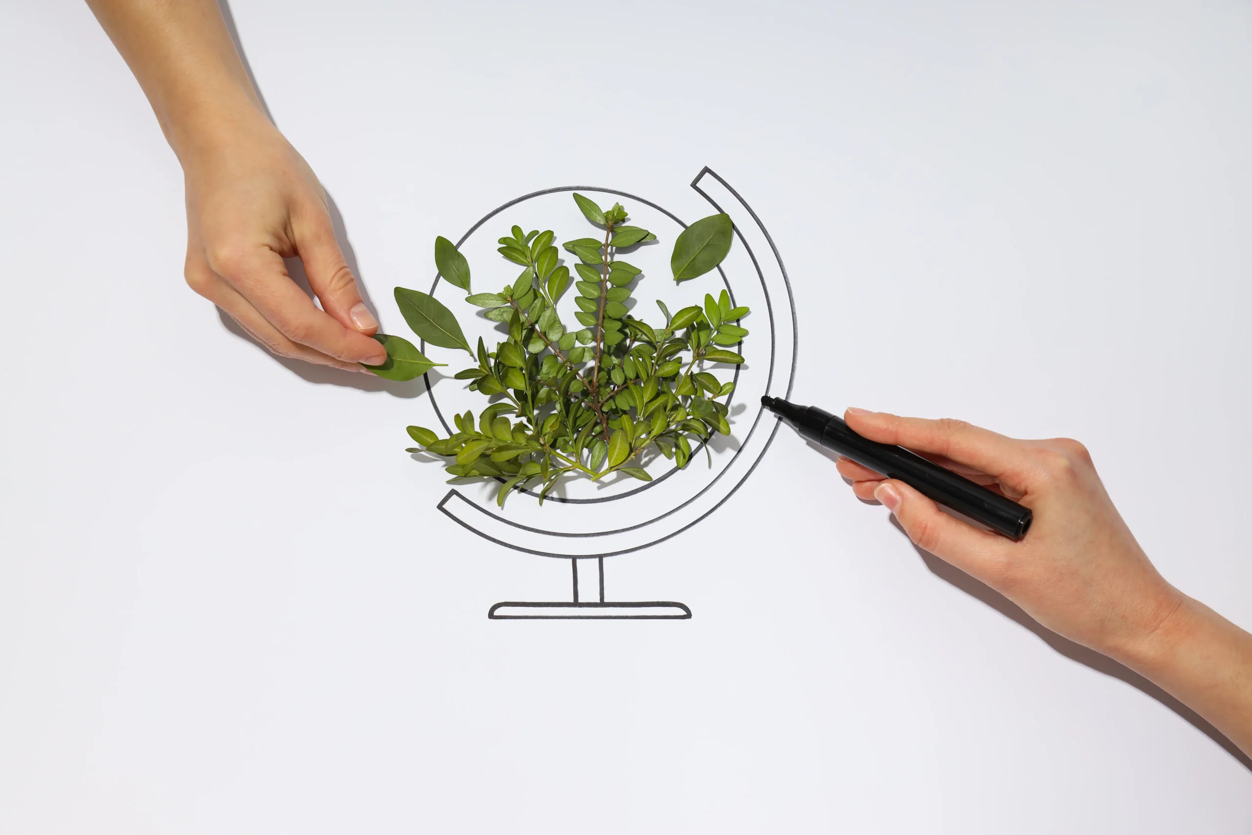 Créditos de Carbono: Vantagens e Desvantagens